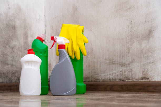 Best Mold Odor Removal Services  in Big Sky, MT